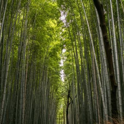 炸裂骑士团无限钻石金币版下载